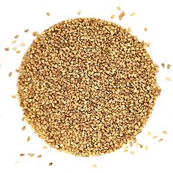 NUTSMAN Sezamové semínko neloupané Množství: 3000 g (3 x balení po 1000 g)