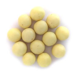 NUTSMAN Lískové ořechy v jogurtové polevě Množství: 500 g